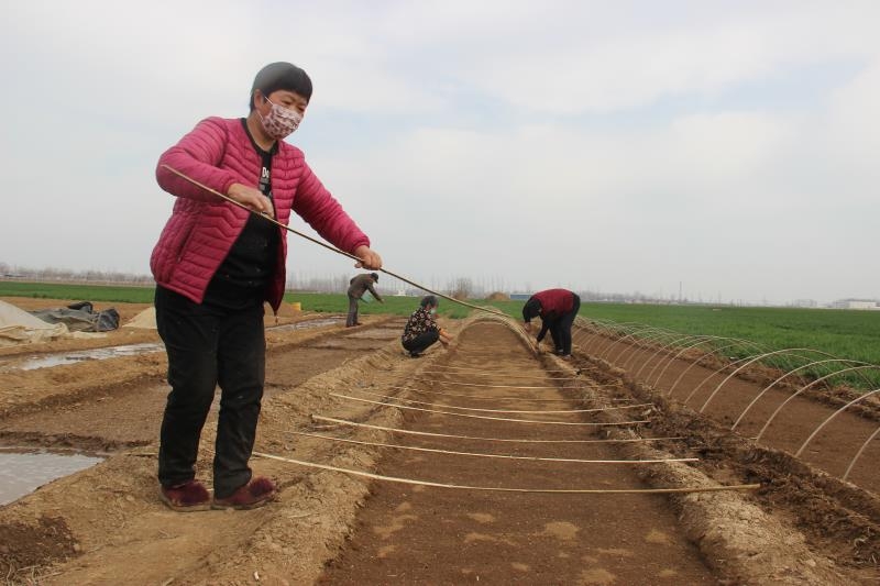 疫情防控、春耕生產(chǎn)兩手抓