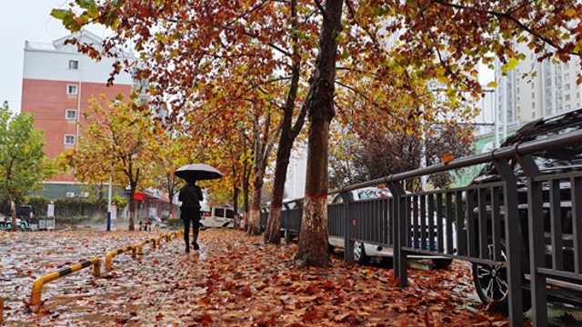 雨中周口，別有一番韻味