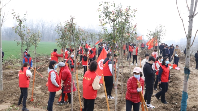 鄲城:春季植樹  大地增綠